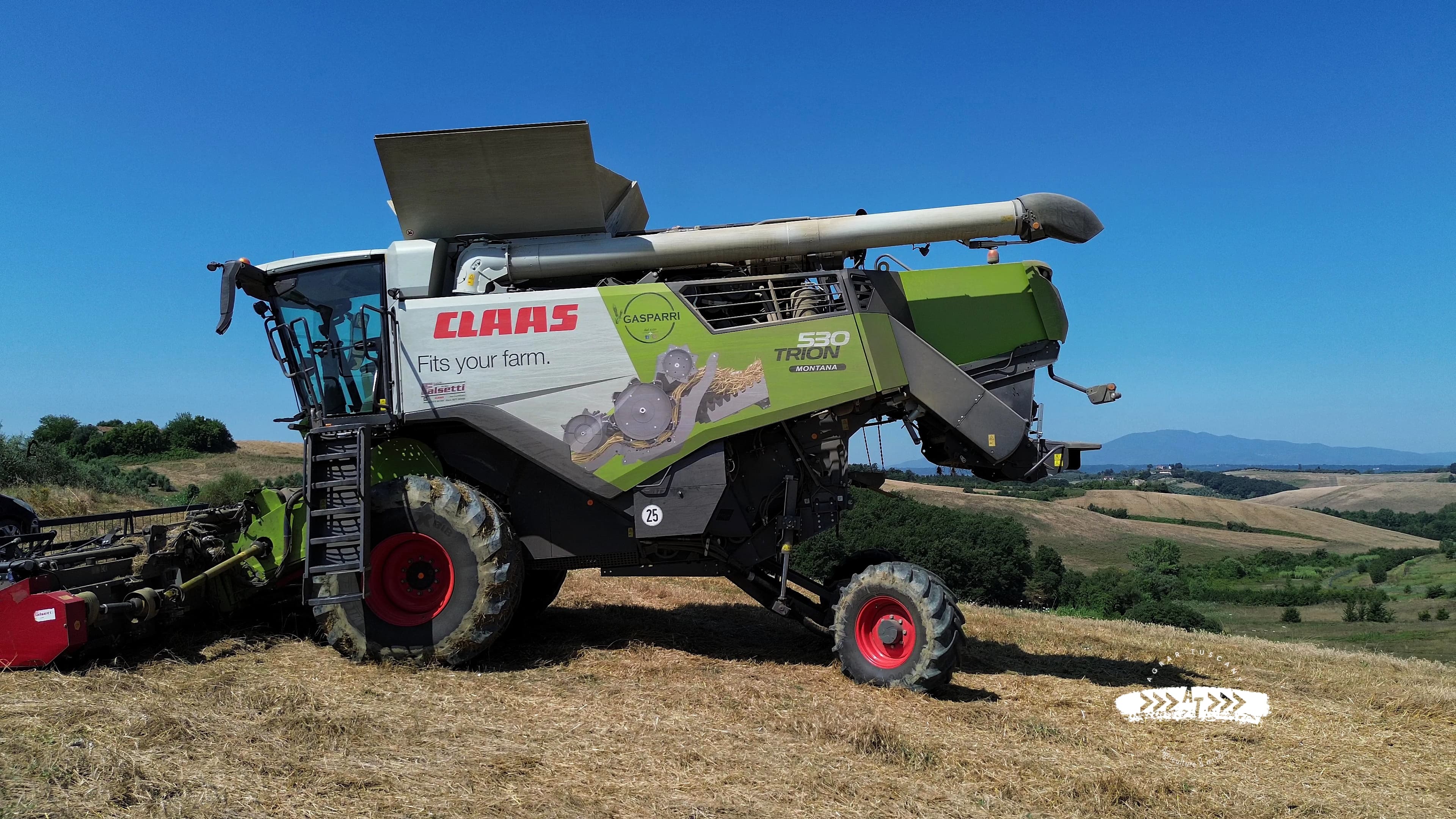 Mietitrebbia CLAAS Gasparri