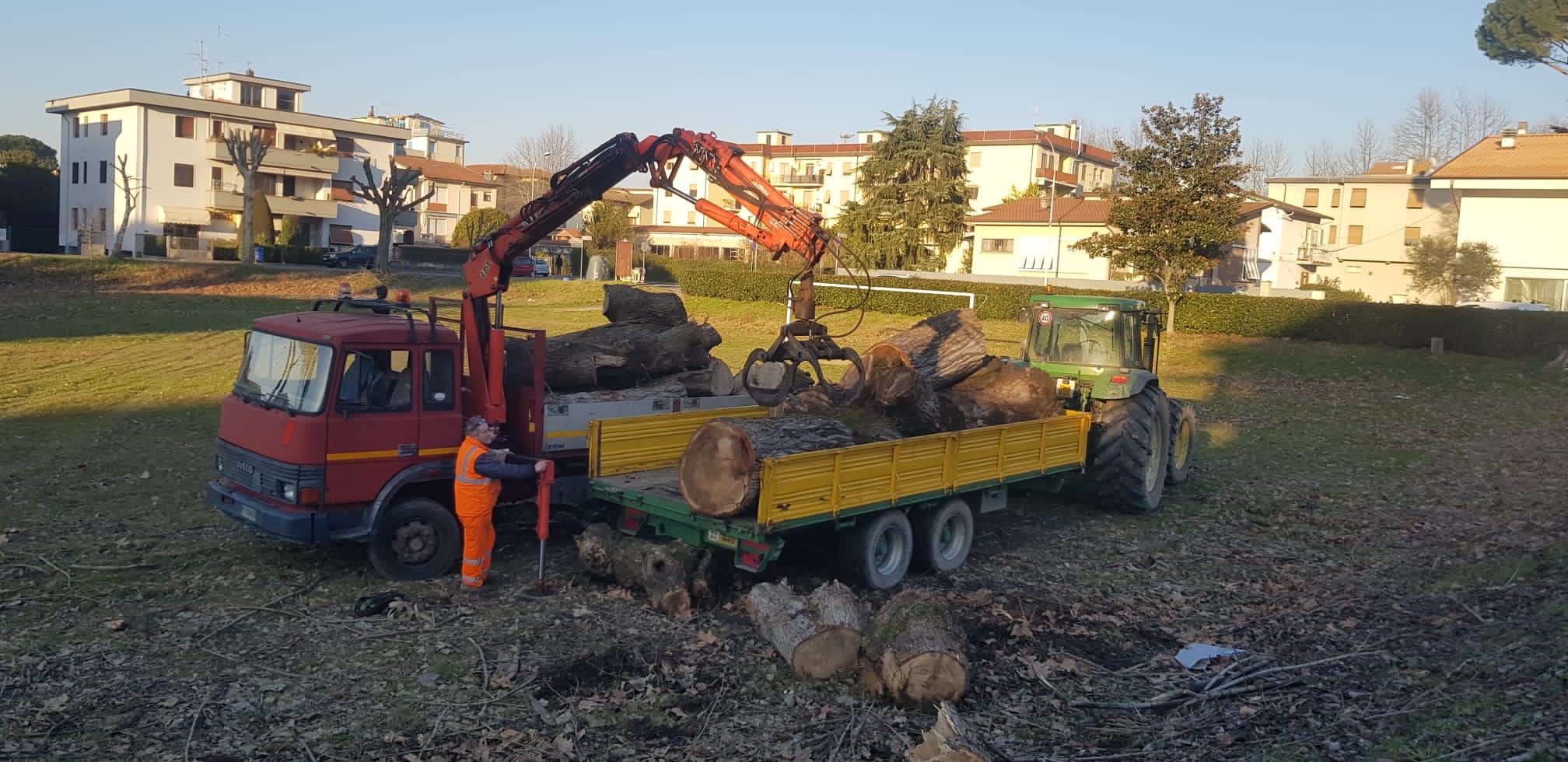Trasporto legname